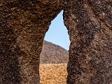 Joshua Tree 002